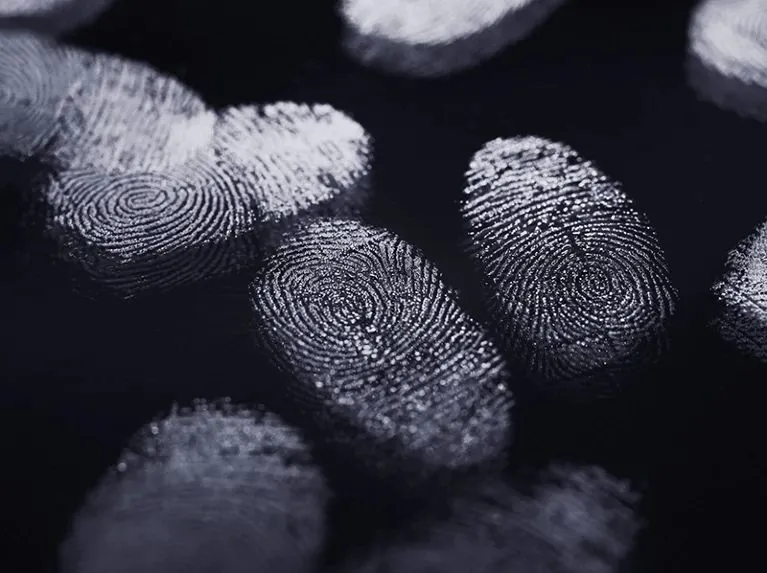 The Typographic Profile and Browser Identity Protection